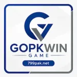 GOPKWIN Game icon