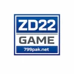 ZD22 Game icon