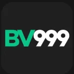 BV999 Game icon