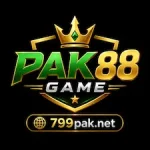 PAK88 Game icon